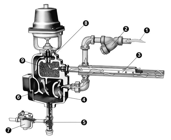 Dystrybutor pary firmy Armstrong – schemat przedstawiający kolejne etapy kondycjonowania pary wodnej