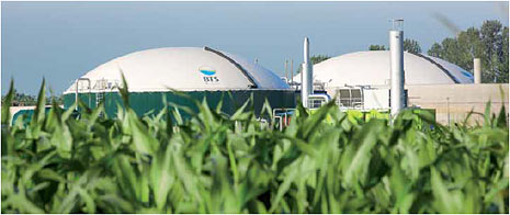  Biogazowania BTS żródło: www.bts-biogas.pl